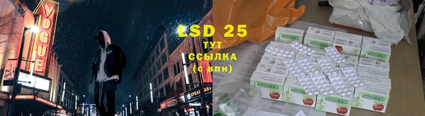 стафф Алзамай