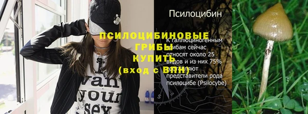 стафф Алзамай