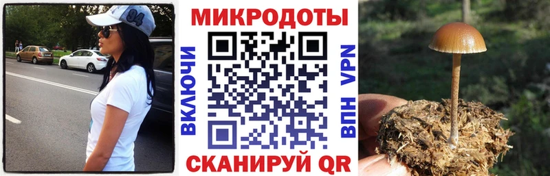 Псилоцибиновые грибы MAGIC MUSHROOMS  ОМГ ОМГ маркетплейс  Махачкала 